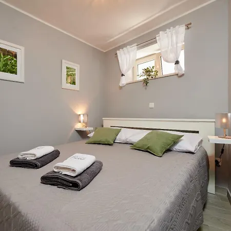 Dora トロギール